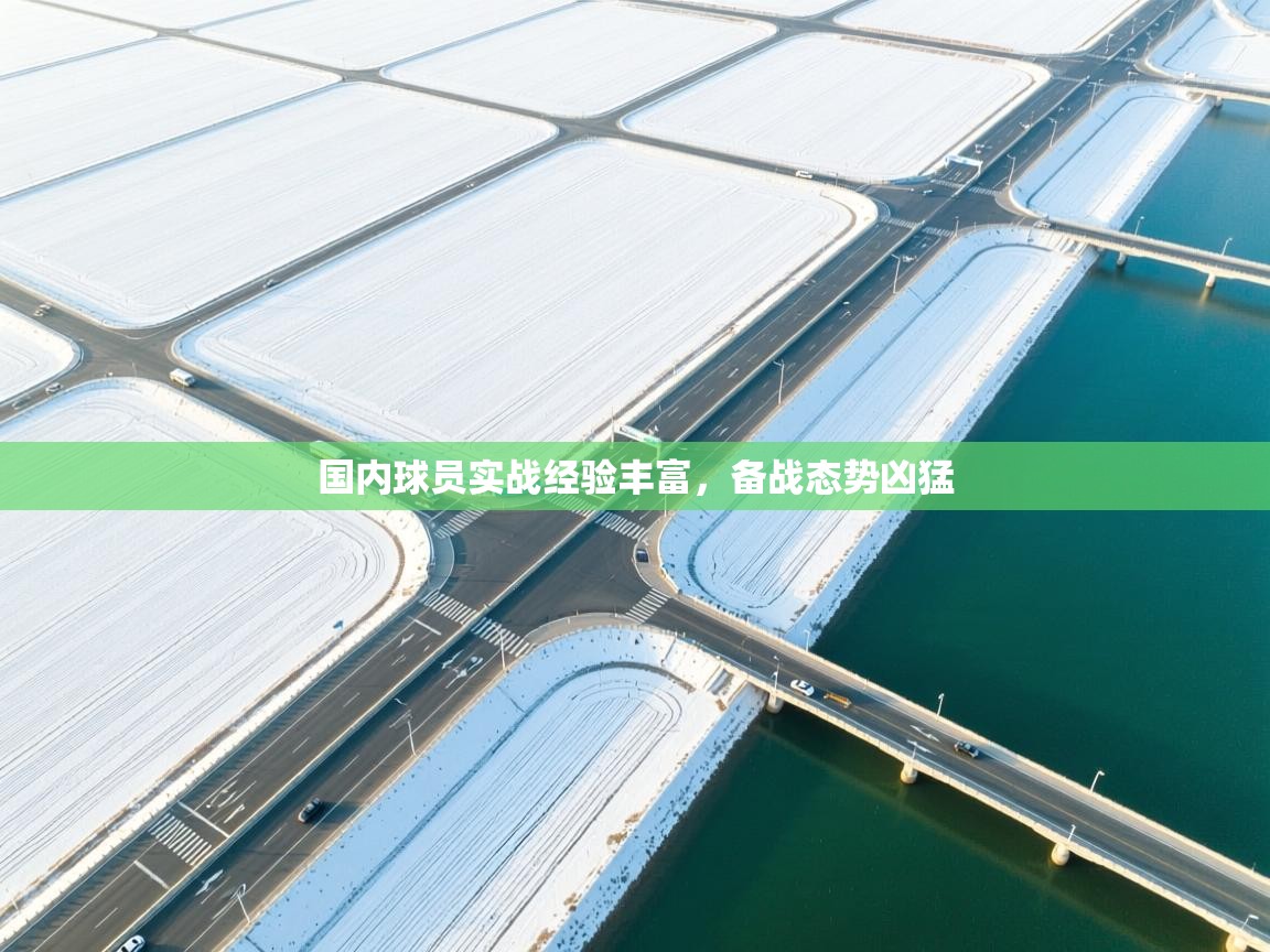国内球员实战经验丰富，备战态势凶猛