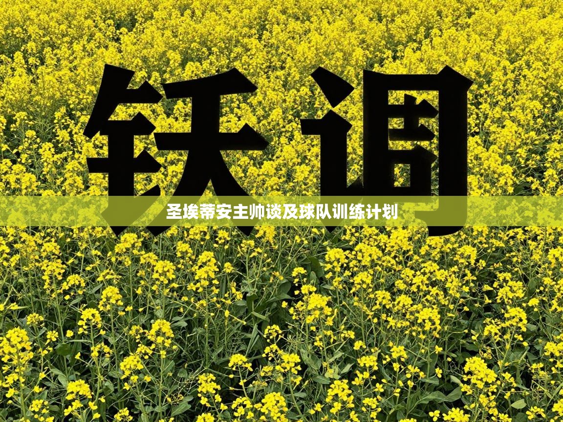 圣埃蒂安主帅谈及球队训练计划